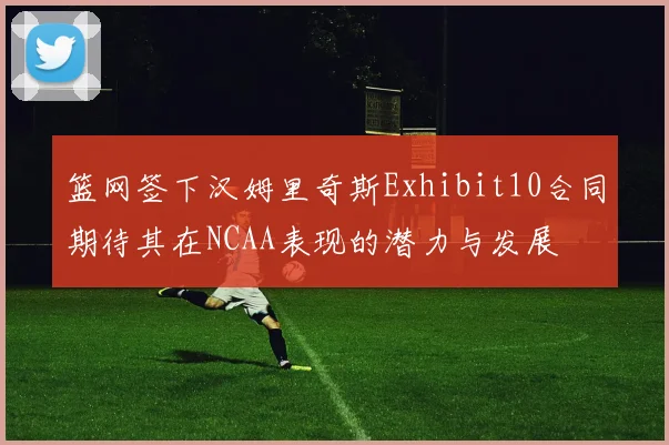 篮网签下汉姆里奇斯Exhibit10合同期待其在NCAA表现的潜力与发展
