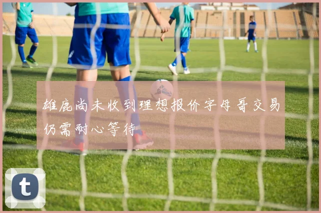 雄鹿尚未收到理想报价字母哥交易仍需耐心等待