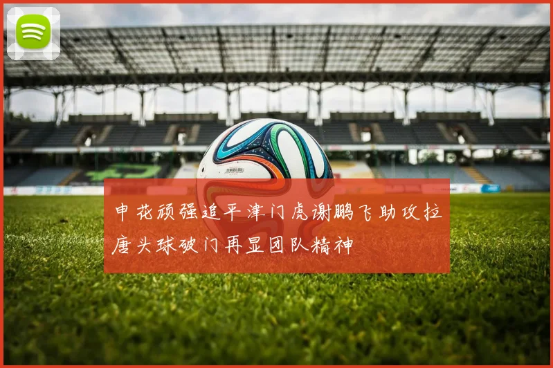 申花顽强追平津门虎谢鹏飞助攻拉唐头球破门再显团队精神